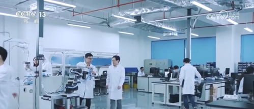 搭建市场对接桥梁，为创新主体提供多元化接力式金融服务及业务承揽服务